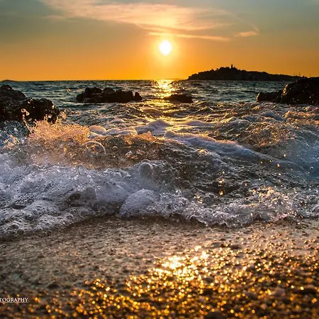 Apartman Milena アパート プリモシュテン