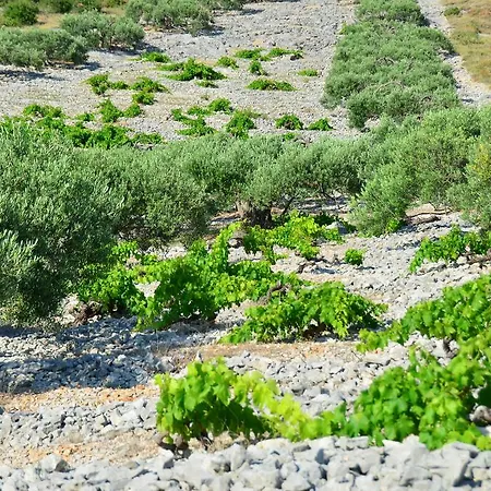 アパート Apartman Milena *